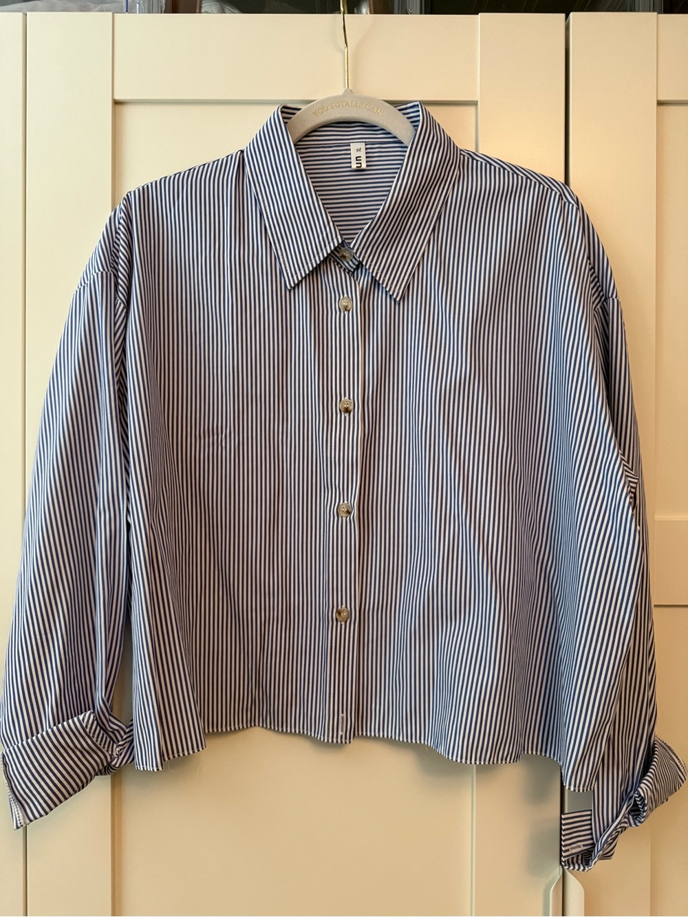 Cropped Striped Button-Up Shirt, XL